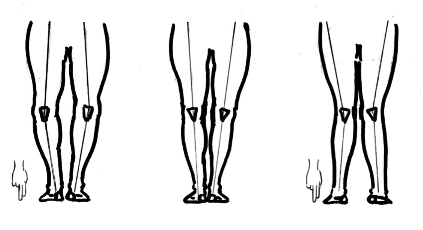 Bikefitting München