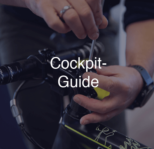 online bikefitting